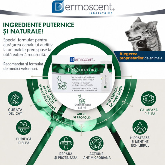 Dermoscent Pyoclean Oto, solutie otica caini si pisici, 10x5 ml
